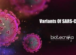 Notable Variants And Mutation Of SARS-CoV-2 Variants Mutations of SARS-CoV-2