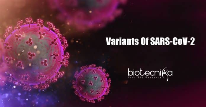 Variants Mutations of SARS-CoV-2