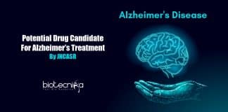 Potential drug candidate for Alzheimer’s