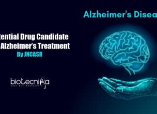Potential drug candidate for Alzheimer’s
