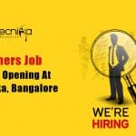 Freshers BDO Job Biotecnika
