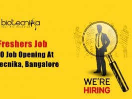 Freshers BDO Job Biotecnika