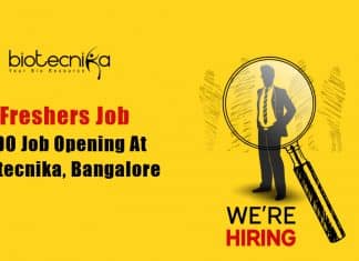 Freshers BDO Job Biotecnika