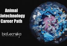 Animal Biotechnology Career Path & Job Prospects Animal Biotechnology Career Opportunities