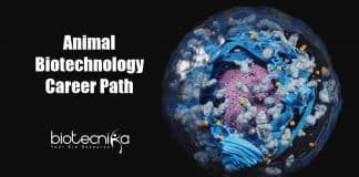 Animal Biotechnology Career Opportunities