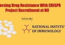 Reversing Drug Resistance With CRISPR Project Recruitment at NII Genetics Jobs at NII