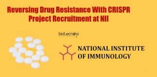 Genetics Jobs at NII