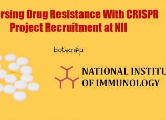 Genetics Jobs at NII