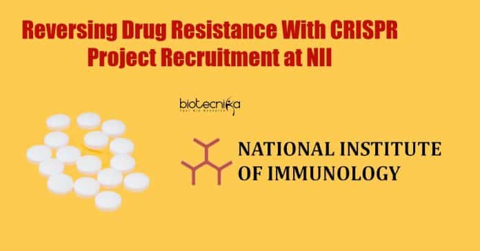 Genetics Jobs at NII