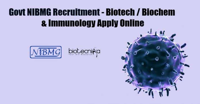 Govt NIBMG Recruitment