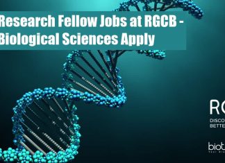 Govt Research Fellow Jobs at RGCB – Biological Sciences Apply Govt Research Fellow Jobs