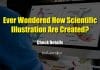 Guidelines For Creating Effective Scientific Illustrations Easily – Must Read Guidelines For Efficient Scientific Illustrations