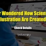 Guidelines For Efficient Scientific Illustrations