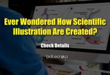 Guidelines For Creating Effective Scientific Illustrations Easily – Must Read Guidelines For Efficient Scientific Illustrations