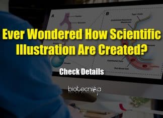 Guidelines For Creating Effective Scientific Illustrations Easily – Must Read Guidelines For Efficient Scientific Illustrations