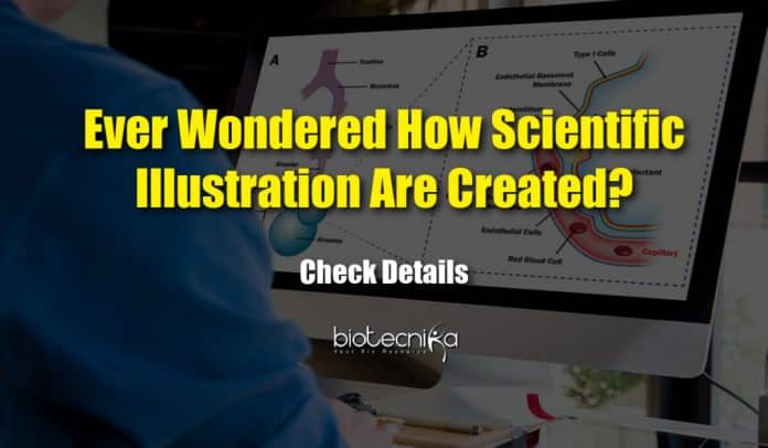 Guidelines For Efficient Scientific Illustrations