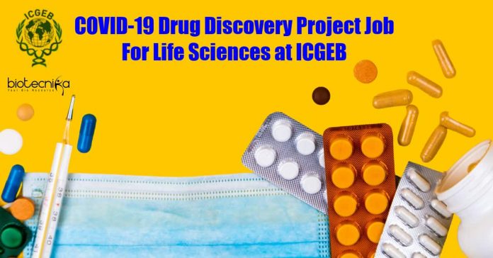 ICGEB Lifescience JRF Job