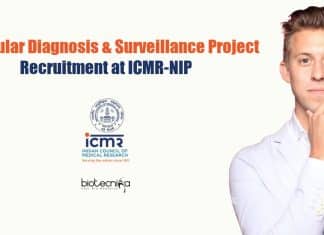 ICMR-NIP Job
