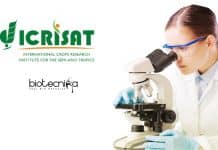 ICRISAT Senior Research Fellow Job – Biotech & Bioinformatics Apply ICRISAT Senior Research
