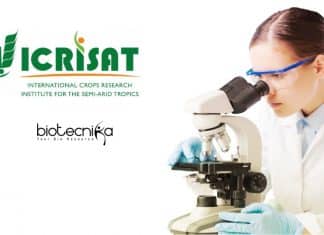 ICRISAT Senior Research