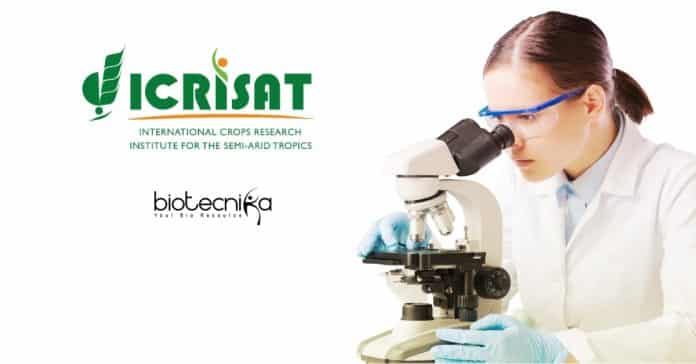 ICRISAT Senior Research