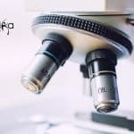 IIT Kanpur Biological &
