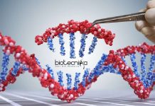 Genome Editing Technologies Project Recruitment at JNU – Applications Invited JNU JRF Vacancy
