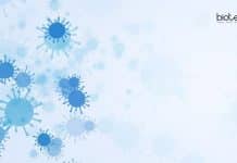 Jamia Hamdard SARS-CoV-2 Project Recruitment – Applications Invited Jamia Hamdard JRF Project