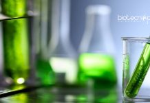 Botany & Biotech Project Assistant Jobs at Kerala Forest Research Institute KFRI Project Assistant Jobs