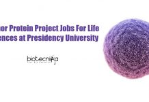 Tumor Protein Project Jobs For Life Sciences at Presidency University Life Science Presidency Vacancy
