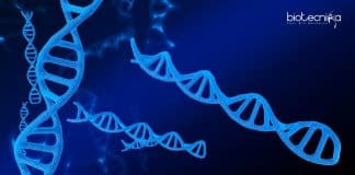 MACS-ARI Pune Genomics Job