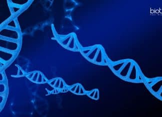 MACS-ARI Pune Genomics Job