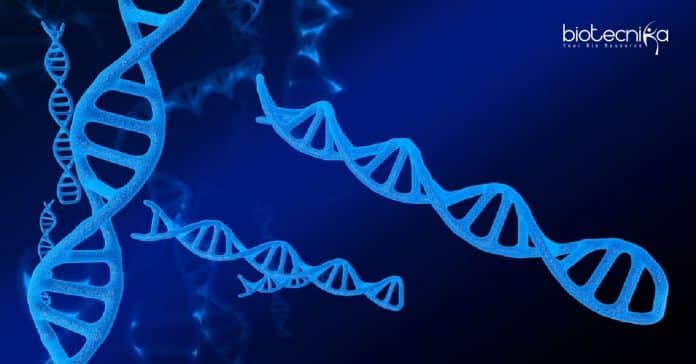 MACS-ARI Pune Genomics Job