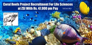 MSc Zoology RA Job