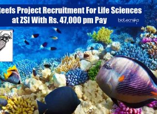 MSc Zoology RA Job