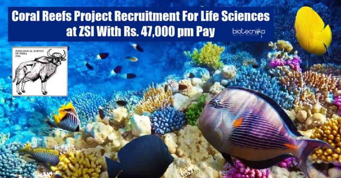 MSc Zoology RA Job