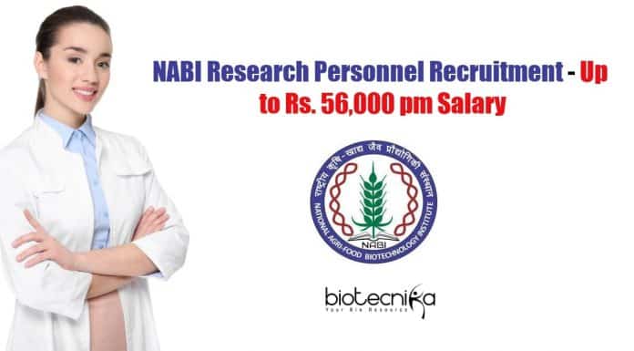 NABI Research Personnel Recruitment – Up to Rs. 56,000 pm Salary NABI Research Personnel Recruitment