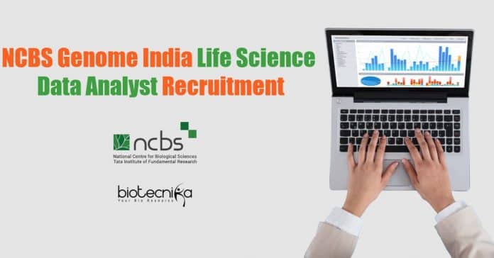 NCBS Data Analyst Job
