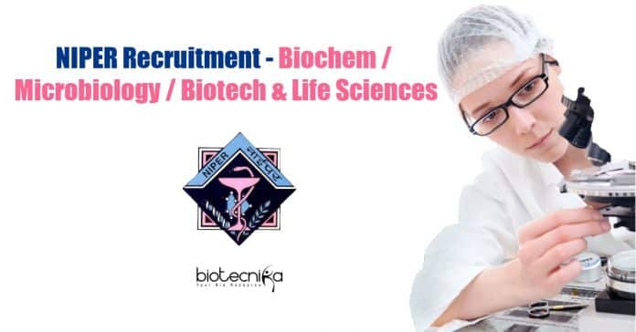 NIPER Recruitment