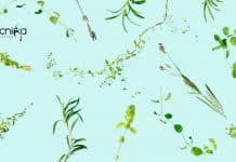 NIPGR Research Associate Recruitment