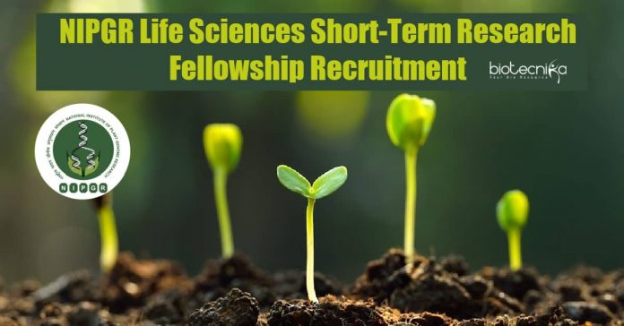 NIPGR Short-Term Research Fellowships