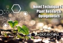 Plant Research Boosted With Optogenetics Technique Optogenetics In Plant Research, Plant Science