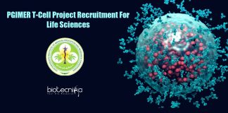 PGIMER Chandigarh Job