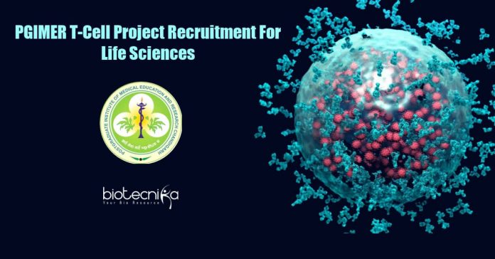 PGIMER Chandigarh Job