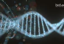 PGIMER Human Genetics Lab Tech & JRF Job Openings PGIMER Human