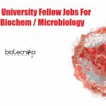 Presidency University Fellow Jobs