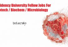 Presidency University Fellow Jobs For Biotech / Biochem / Microbiology Presidency University Fellow Jobs