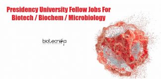 Presidency University Fellow Jobs