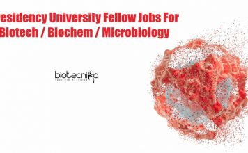 Presidency University Fellow Jobs