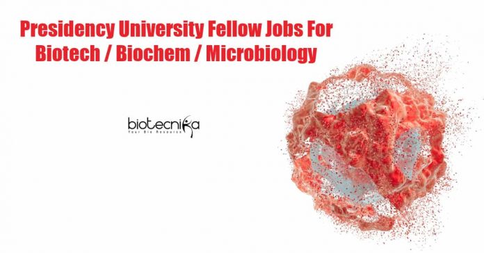 Presidency University Fellow Jobs